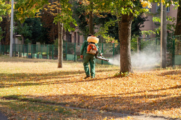Trusted St George, UT Pest Control Experts